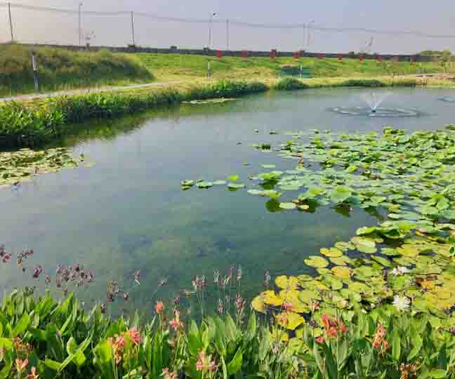 东莞市寮步镇西南河等河涌补水服务项目